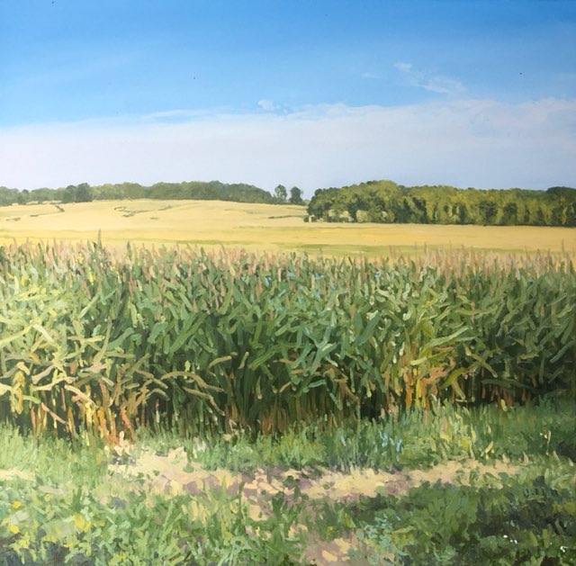 Cornfields, Three Oaks, MI plein air, oil on canvas, 30 x 30 inches