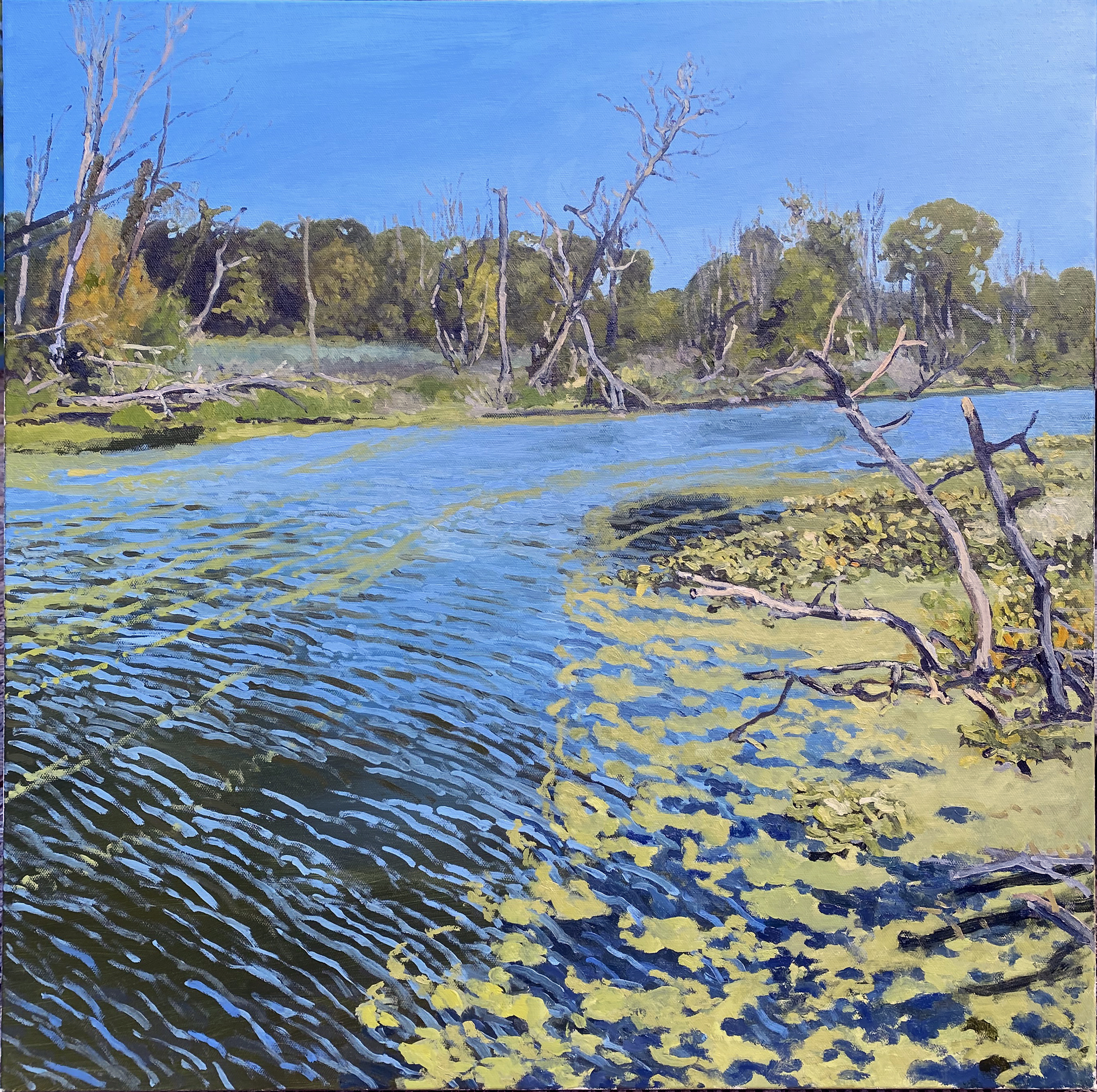 Galien River, plein air, oil on canvas, 30 x 30 inches