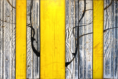 GOLD ASPENS 9, acylic on panel, triptych 48x72 inches