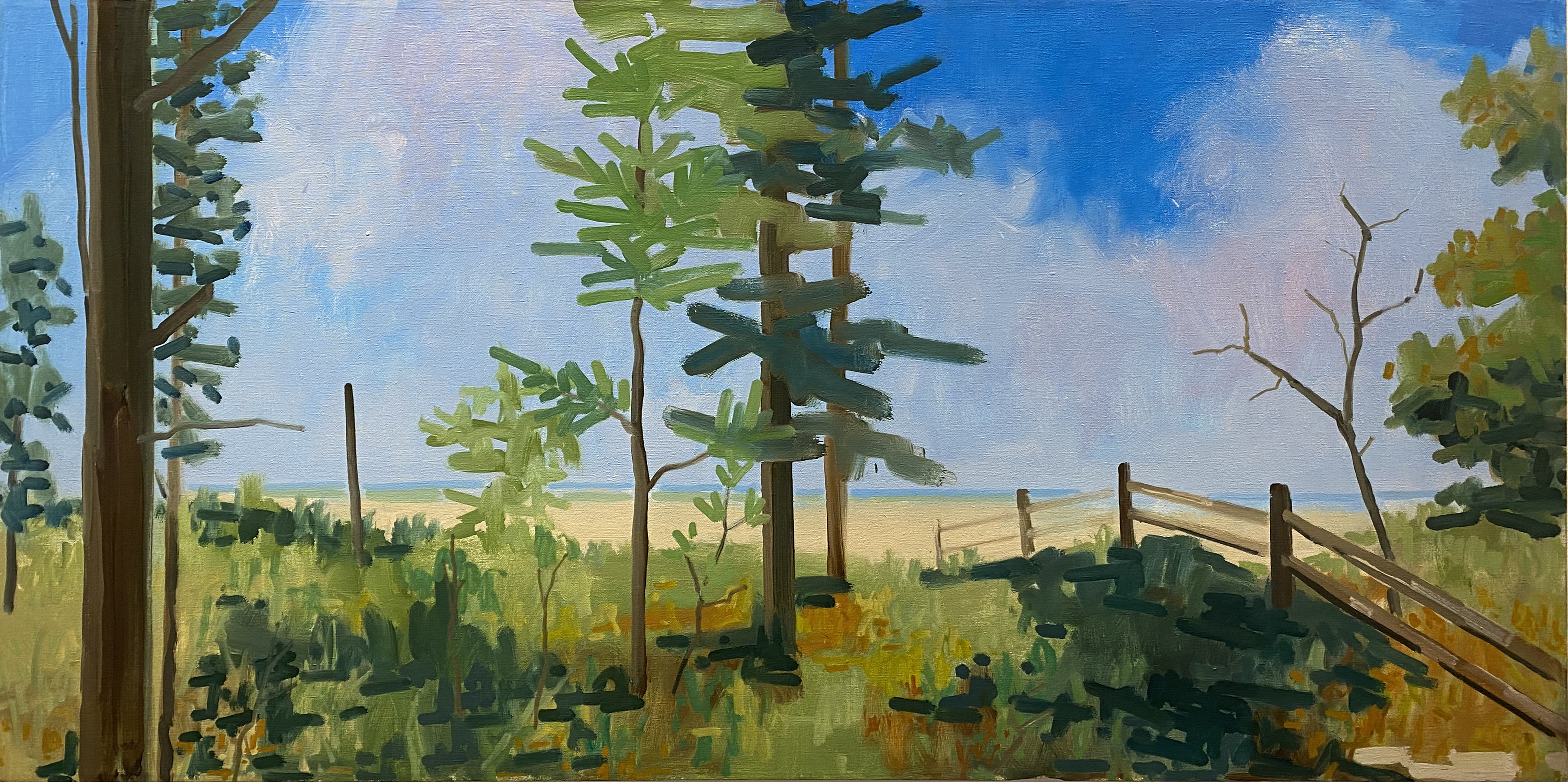 OLD FENCE LINE, oil on canvas, 24 x 48 inches