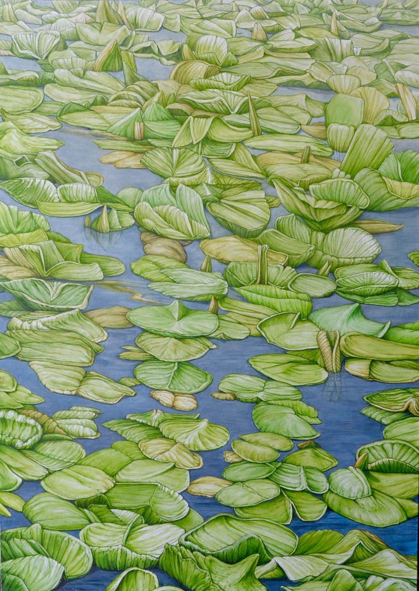 LILLY POND, 42 x 30 inches, oil on canvas