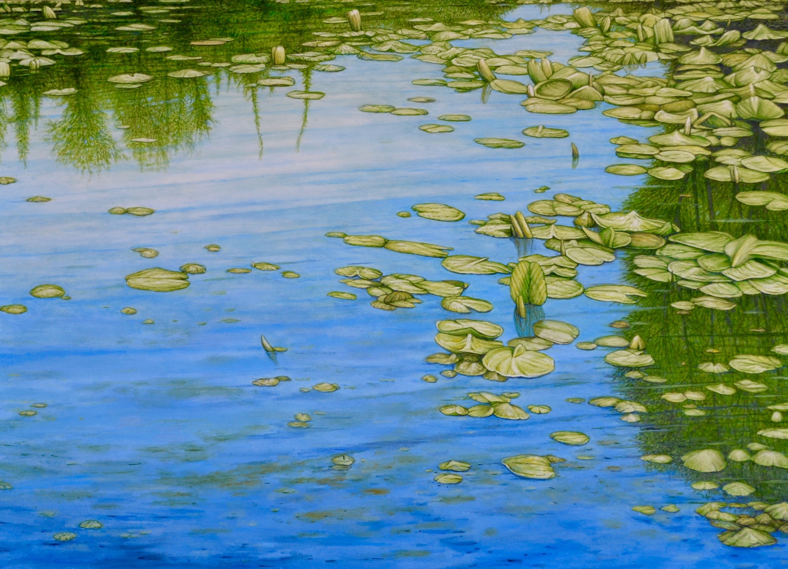 LILLY POND #4, 30 x 42 inches, oil on canvas