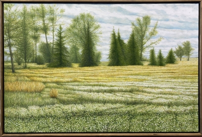 MY PRIVATE ILLINOIS, oil on canvas, 24 x 36 in
