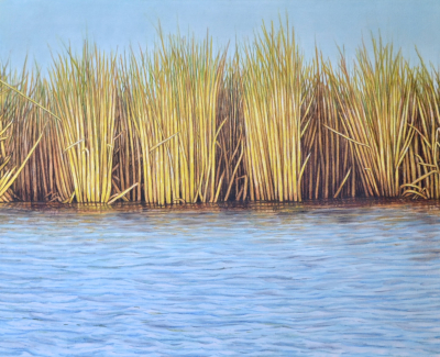 REEDS #10, 22 x 24 inches, oi on canvas