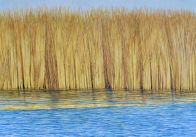REEDS 8, 42 x 53 inches, oil on canvas