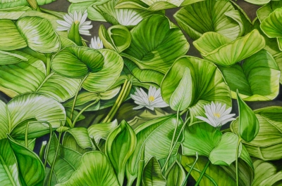 Water Lillies I, oil on canvas, 24 x 36 inches